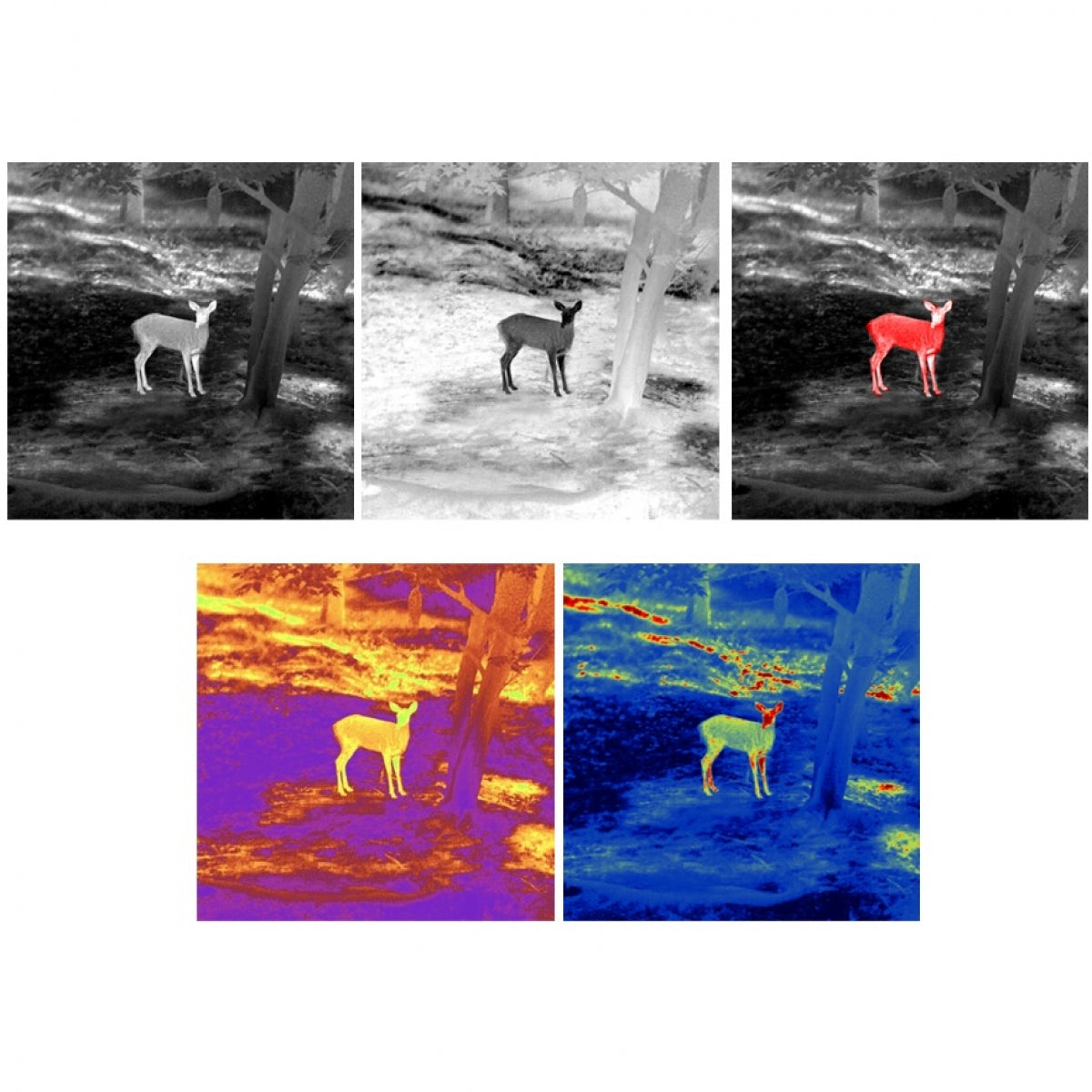 Termālais monokulārs Monocular Guide TD210