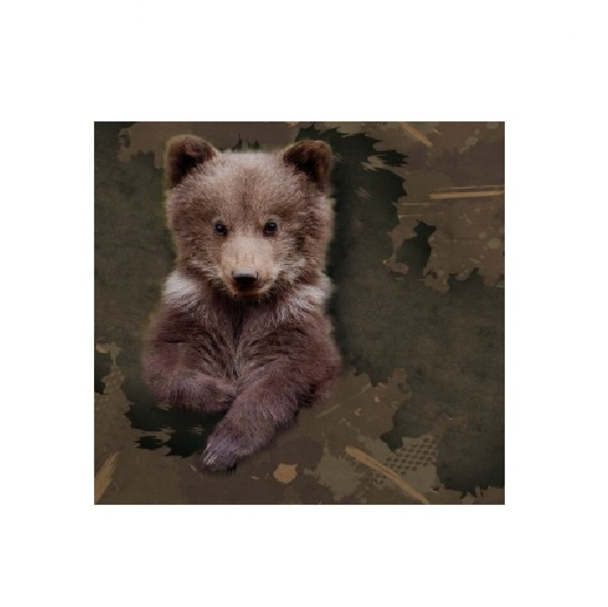 Bērnu T-krekls ar lāča apdruku WILD ZONE, Zaļš