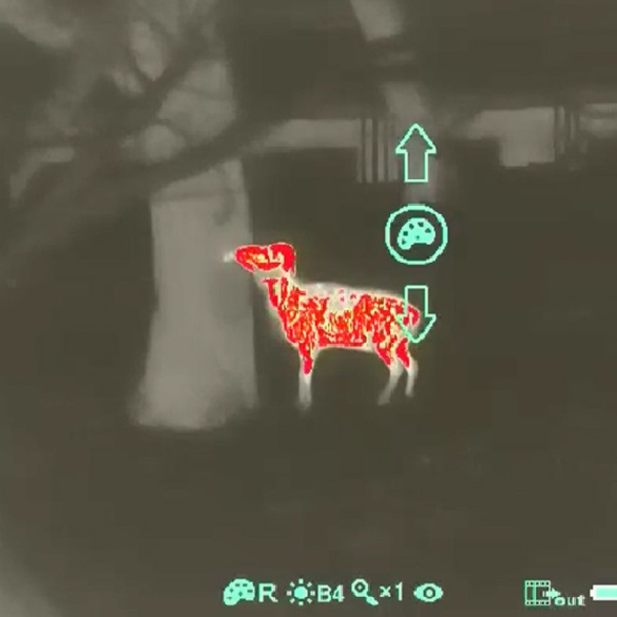 Termovizors CH50W Series