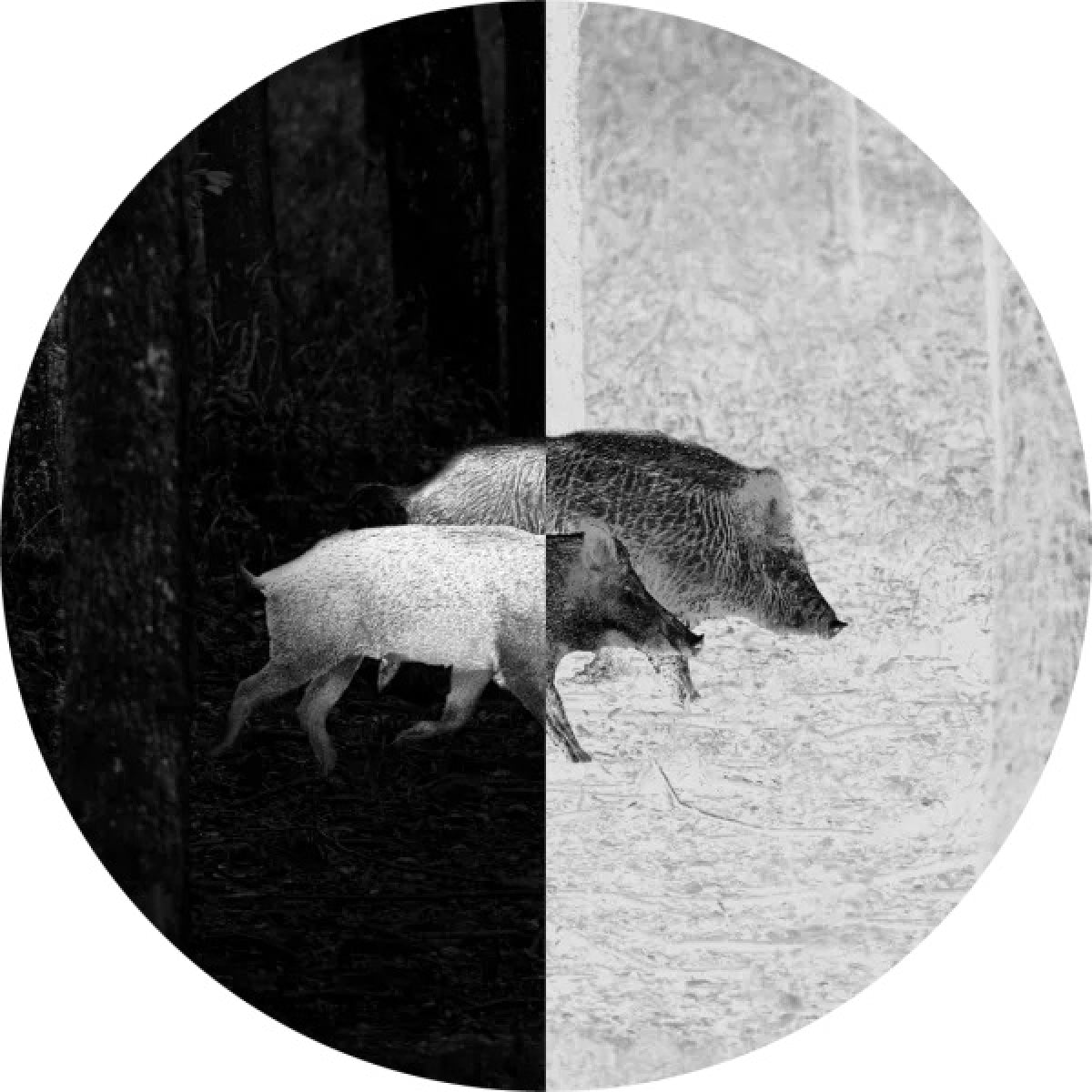 Termiskās attēlveidošanas uzlika Swarovski TM 35 NS-6F8AH000-0