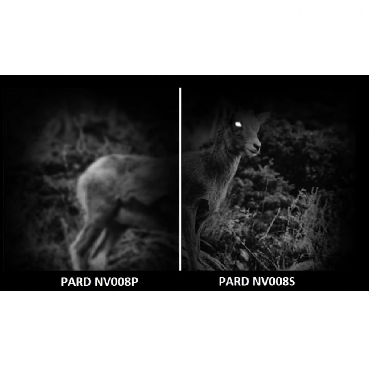 Nakts redzamības ierīce Pard NV008S-850/50