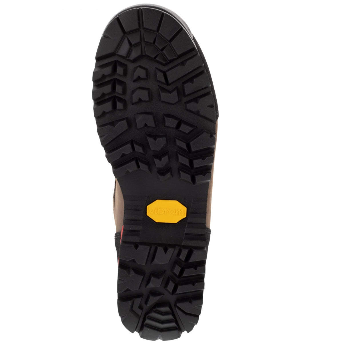 Apavi HARKILA Forest Hunter Hi GTX, Tumši brūni