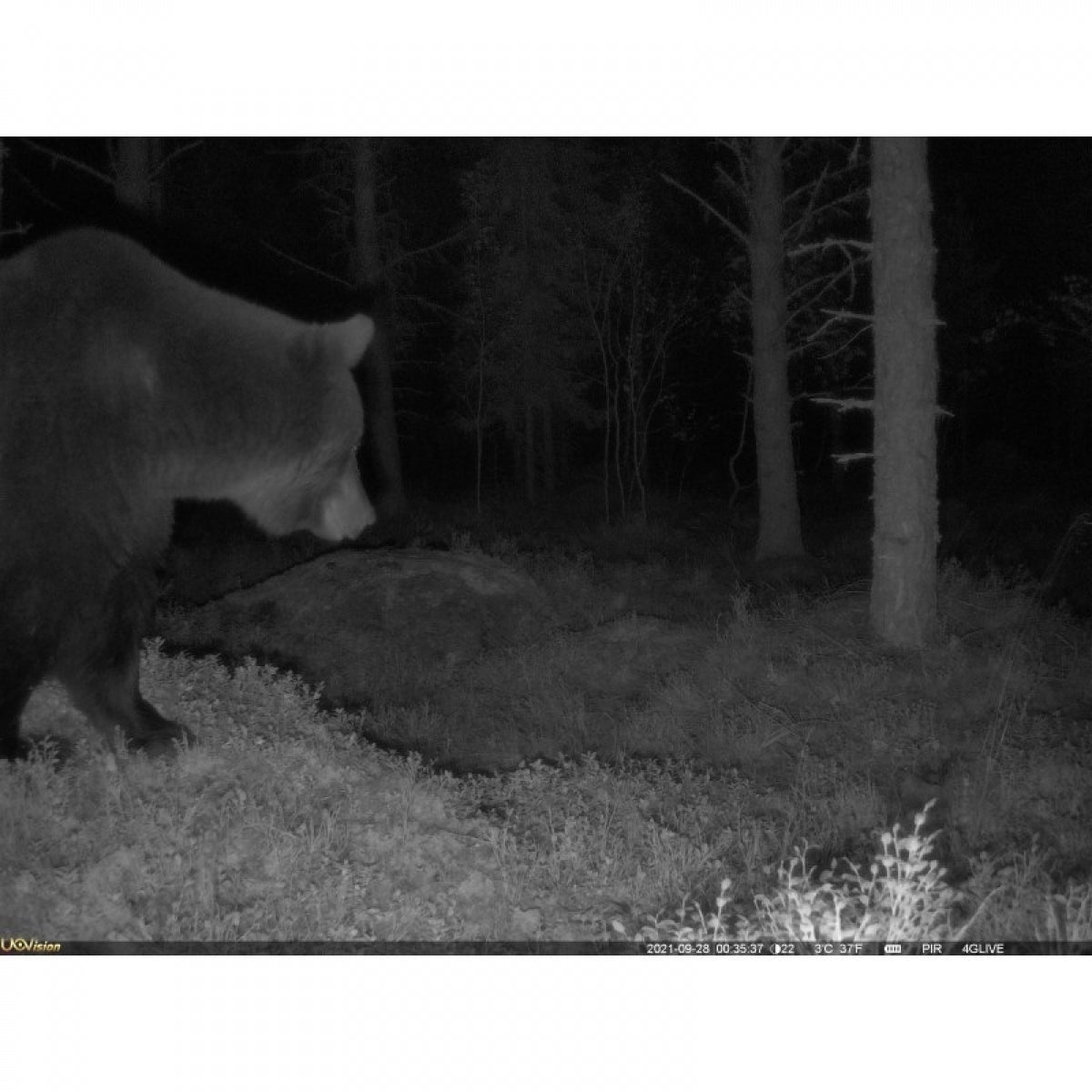 UOVision Live Stream PRO (8525.89)