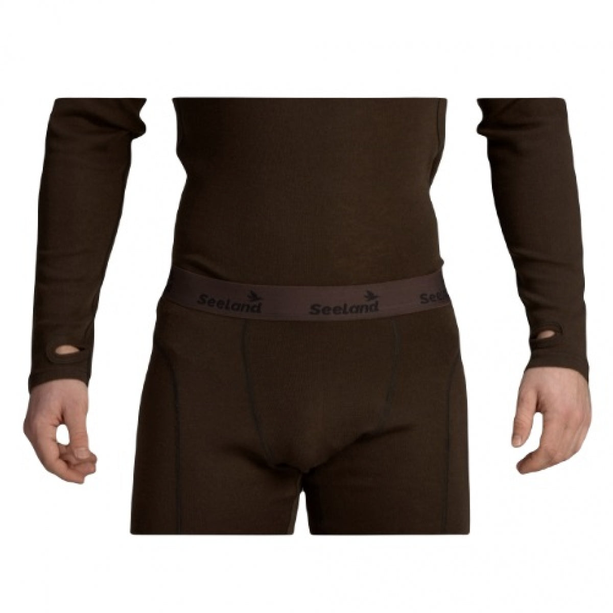 Bāzes slānis Seelandes, Brūns