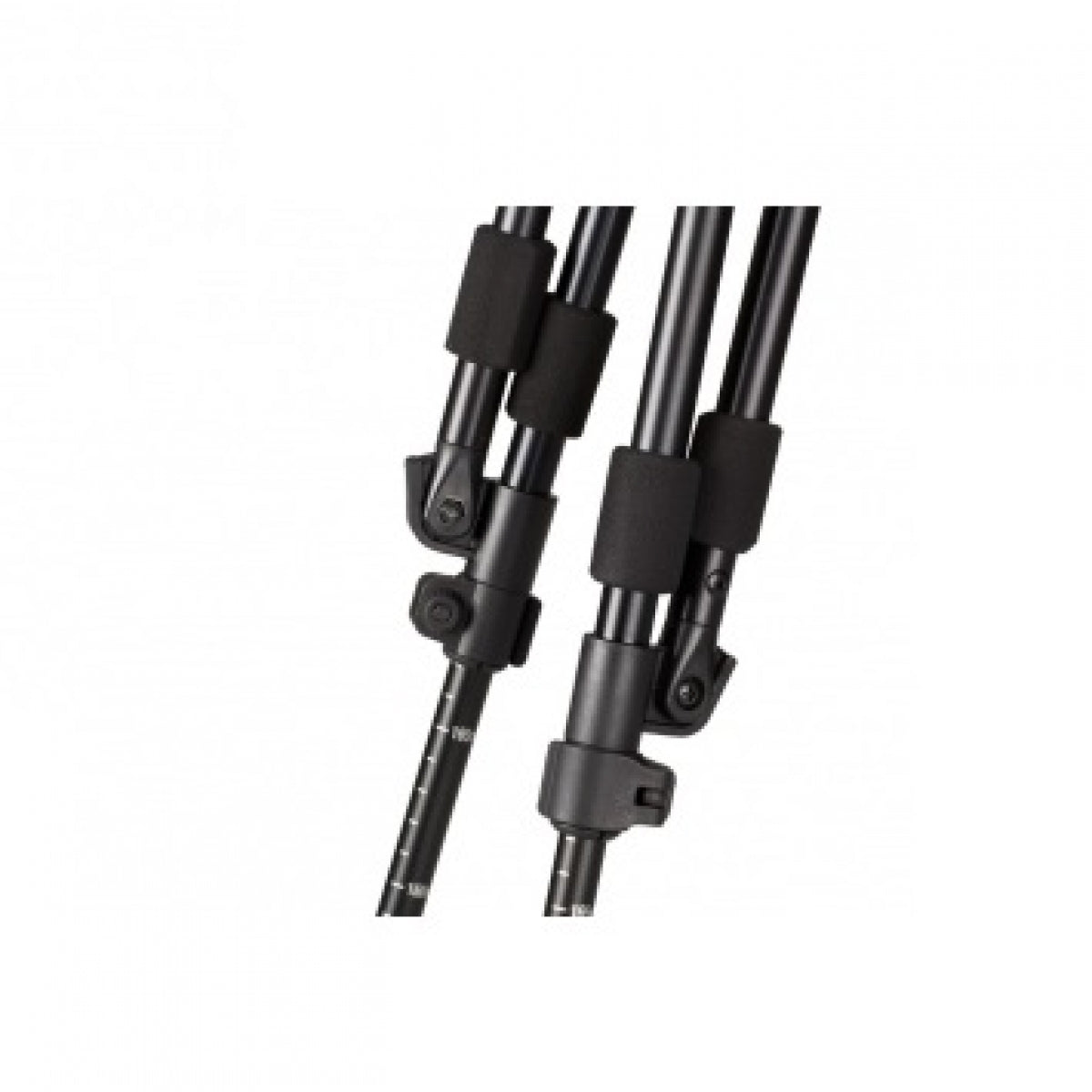 Četru kāju šaušanas nūju Seeland