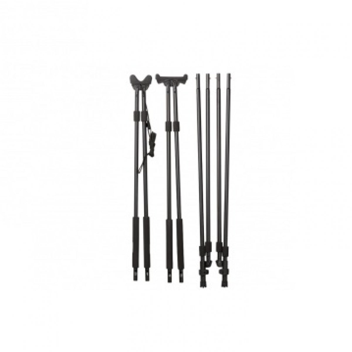 Četru kāju šaušanas nūju Seeland