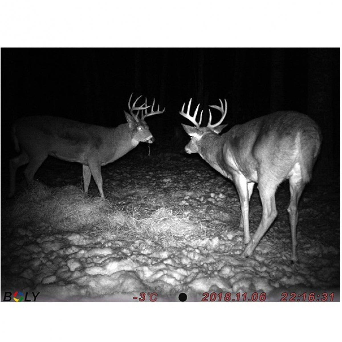 Kamera BolyMedia BG636 4G Trail ar GPS