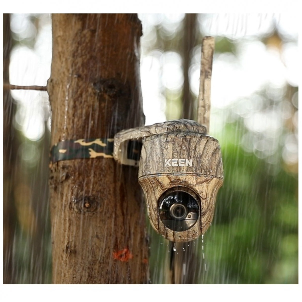 Kamera Reolink Keen Ranger PT + Saules panelis