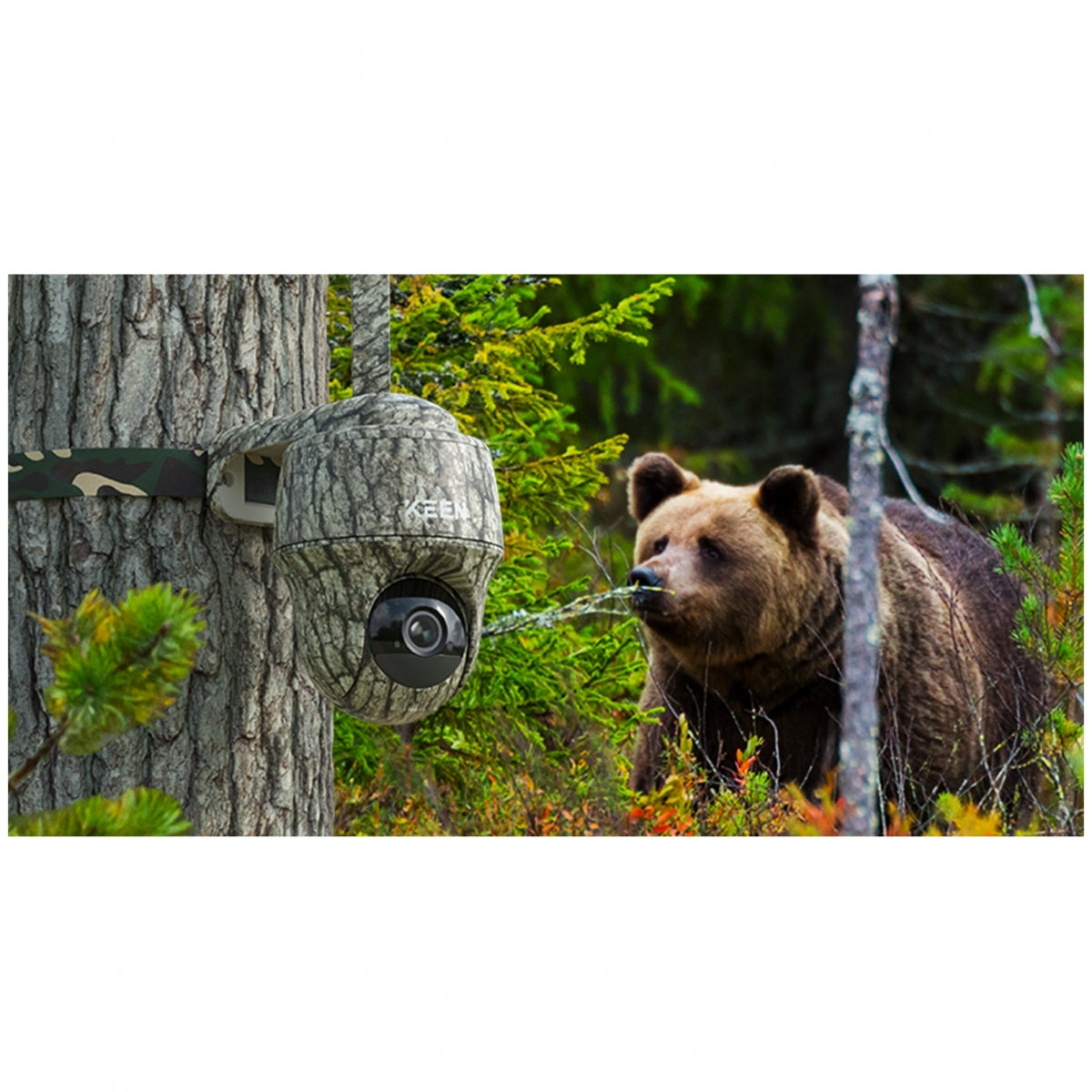 Kamera Reolink Keen Ranger PT + Saules panelis