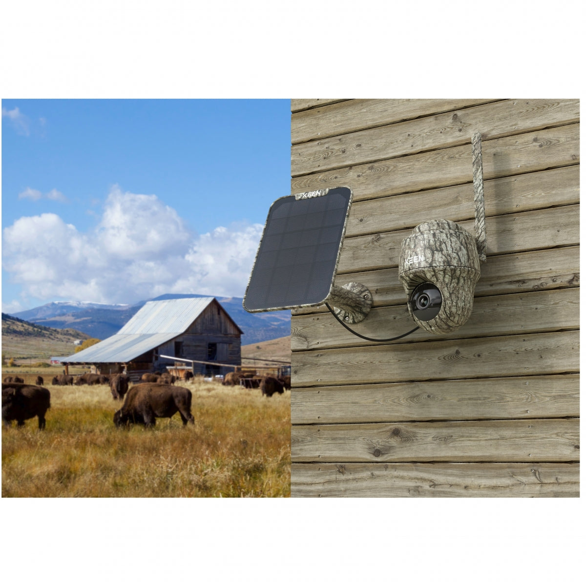 Kamera Reolink Keen Ranger PT + Saules panelis