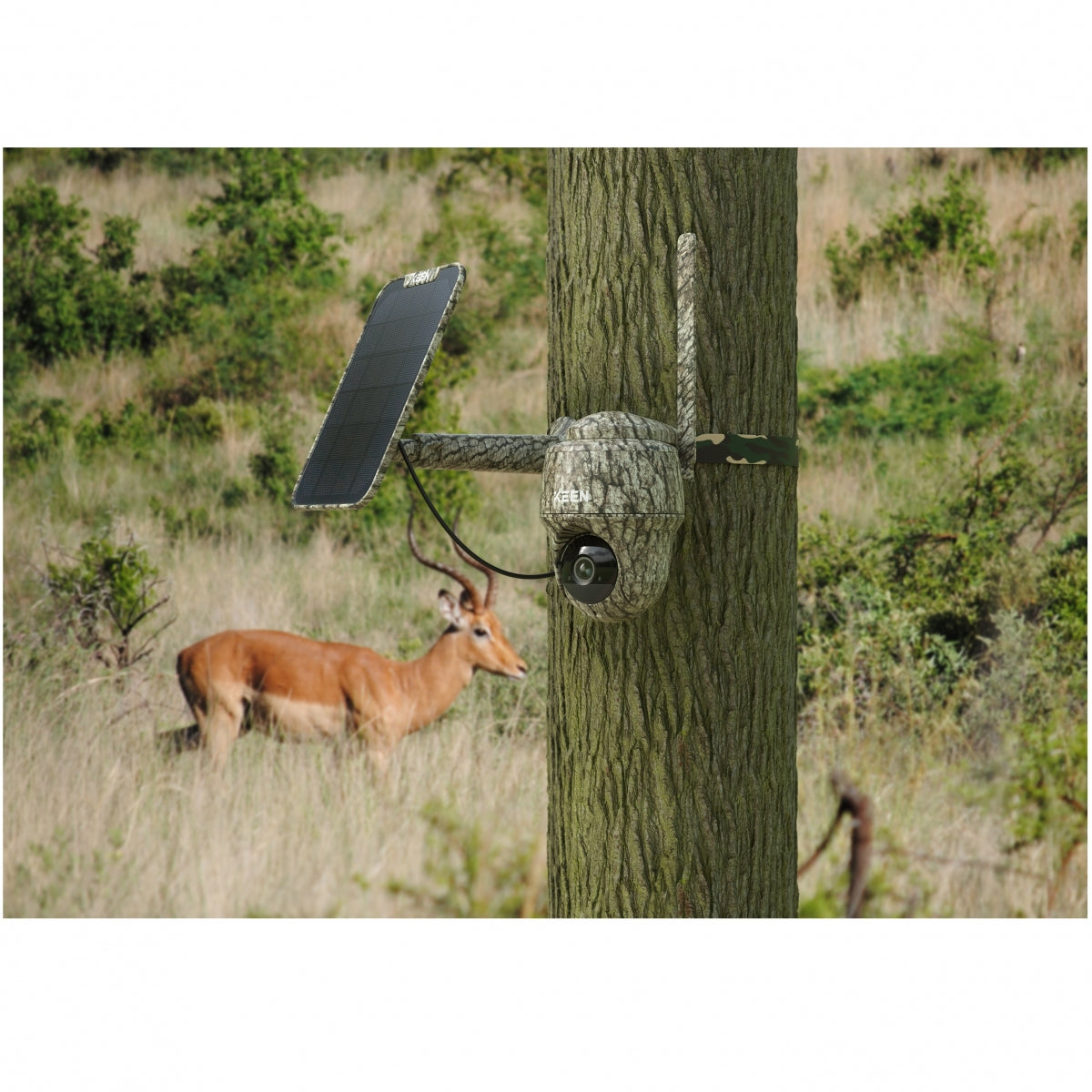 Kamera Reolink Keen Ranger PT + Saules panelis