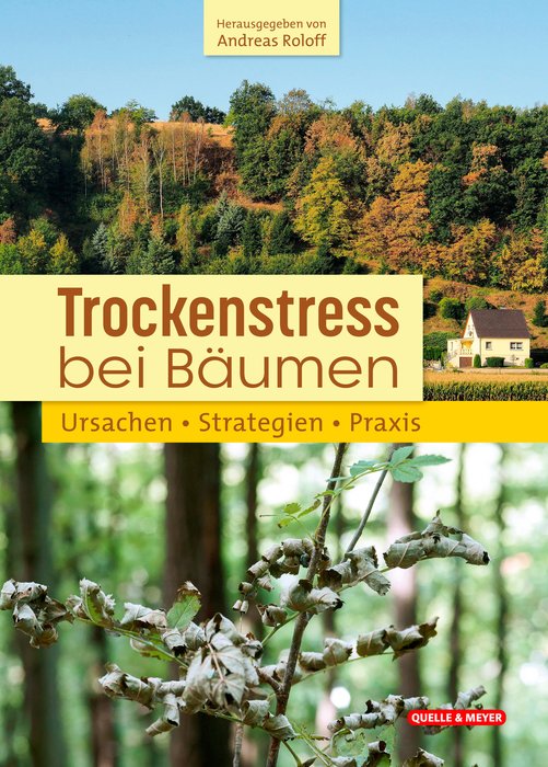 Trockenstress bei Bäumen - Ursachen, Strategien, Praxis [Drought stress in trees - causes, strategies, practice]